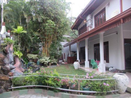 Sithum Home Stay Dikwella Exterior foto